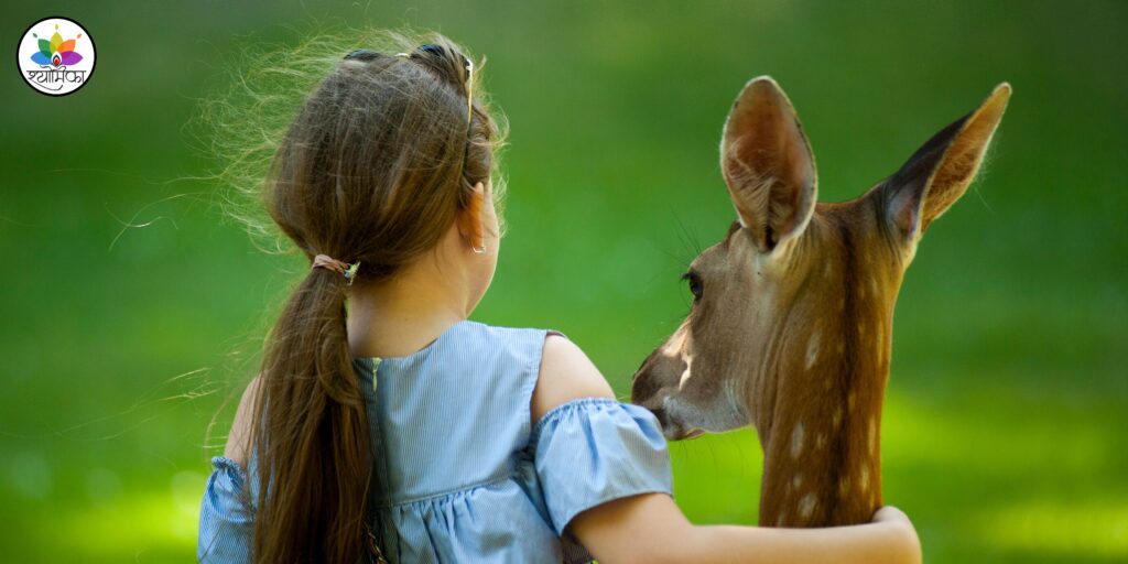 Frequently Asked Questions (FAQs)