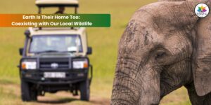 Coexisting with Our Local Wildlife