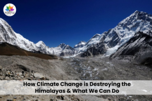 Climate