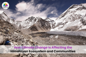 Climate change impacts on Himalayan glaciers and mountain ecosystems affecting biodiversity, water resources, and local communities.