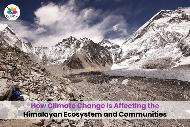 Climate change impacts on Himalayan glaciers and mountain ecosystems affecting biodiversity, water resources, and local communities.
