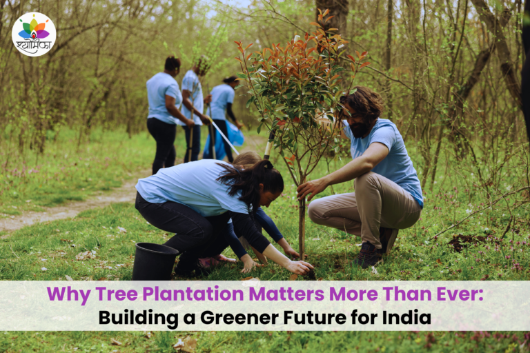 Volunteers planting a young tree during a community tree plantation drive to promote environmental sustainability in India.