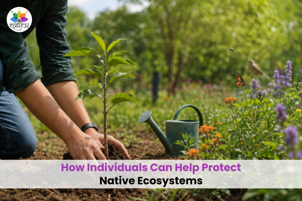 Person planting a young native tree in a garden filled with native wildflowers, while butterflies, bees, and a bird highlight the importance of individual actions in protecting native ecosystems.