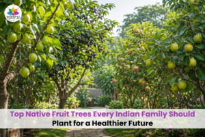 Garden with native Indian fruit trees, including amla, jamun, guava and apple.