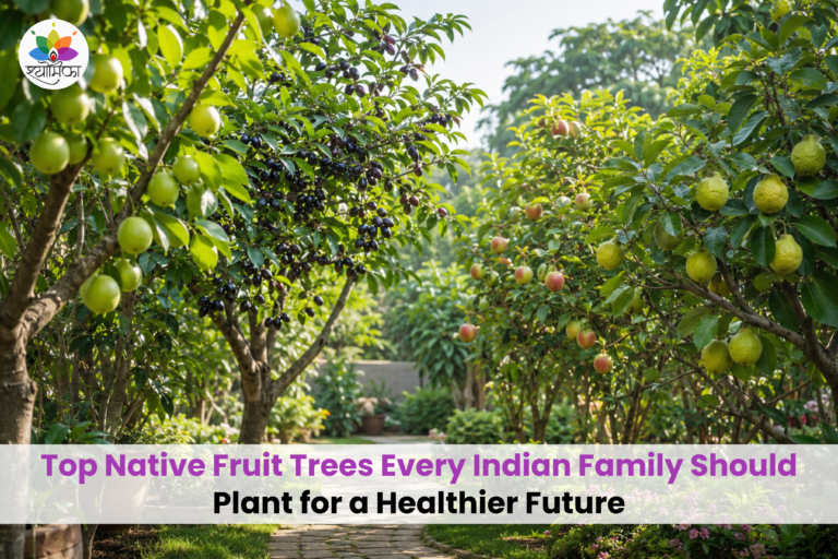 Garden with native Indian fruit trees, including amla, jamun, guava and apple.