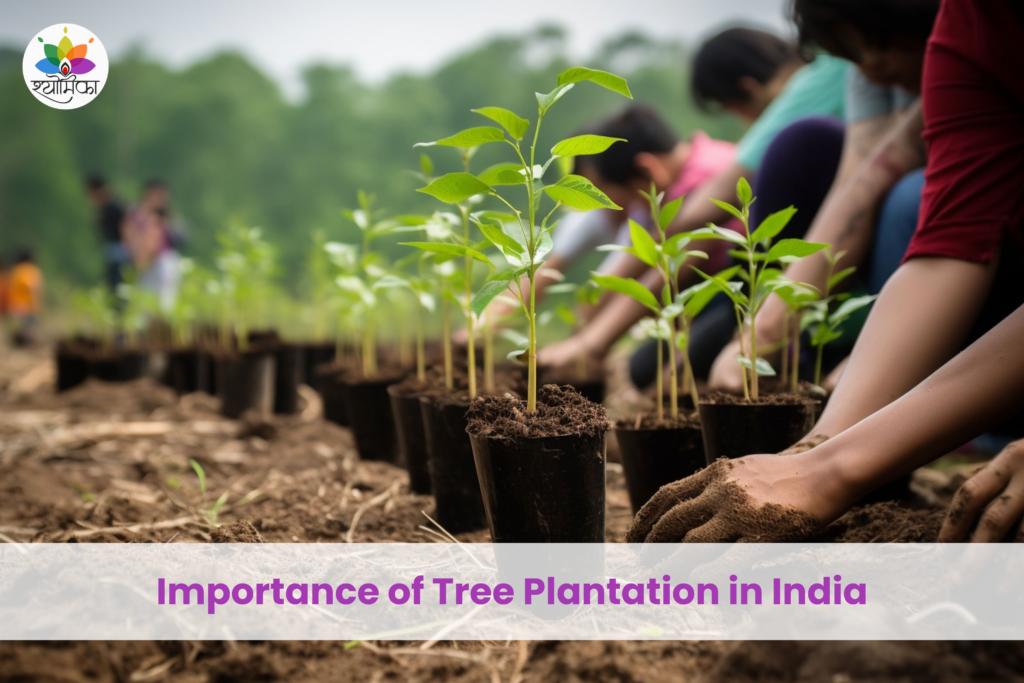 People planting tree saplings during a community tree plantation drive to promote environmental conservation in India.